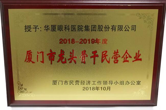 开宝体育官网荣膺“厦门市2018-2019年度龙头骨干民营企业”2.jpg