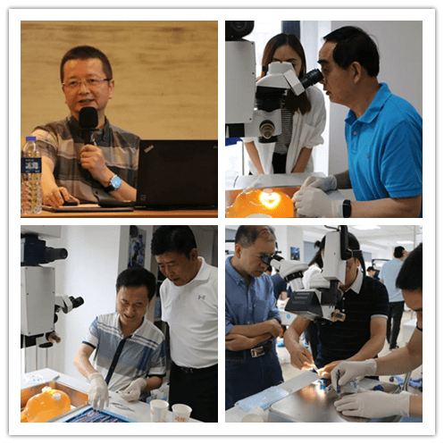 开宝体育官网2019年眼内屈光手术技术高峰论坛隆重举行101副本.png