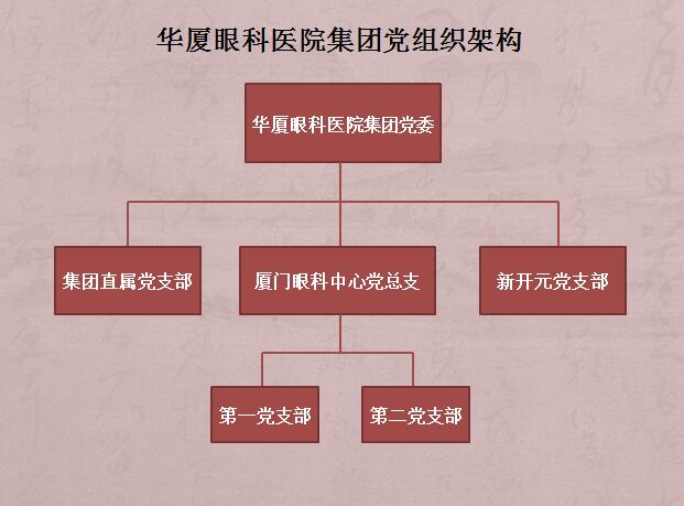 开宝体育官网集团党支部简介.jpg